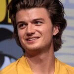 Joe Keery, double pulse: global screen and sound laboratory